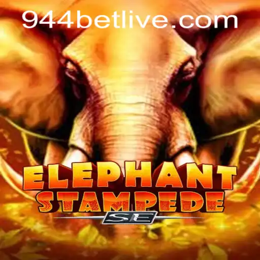 944bet PH Login Casino Withdrawal